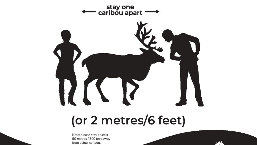 Poster of two people standing on opposite sides of a caribou