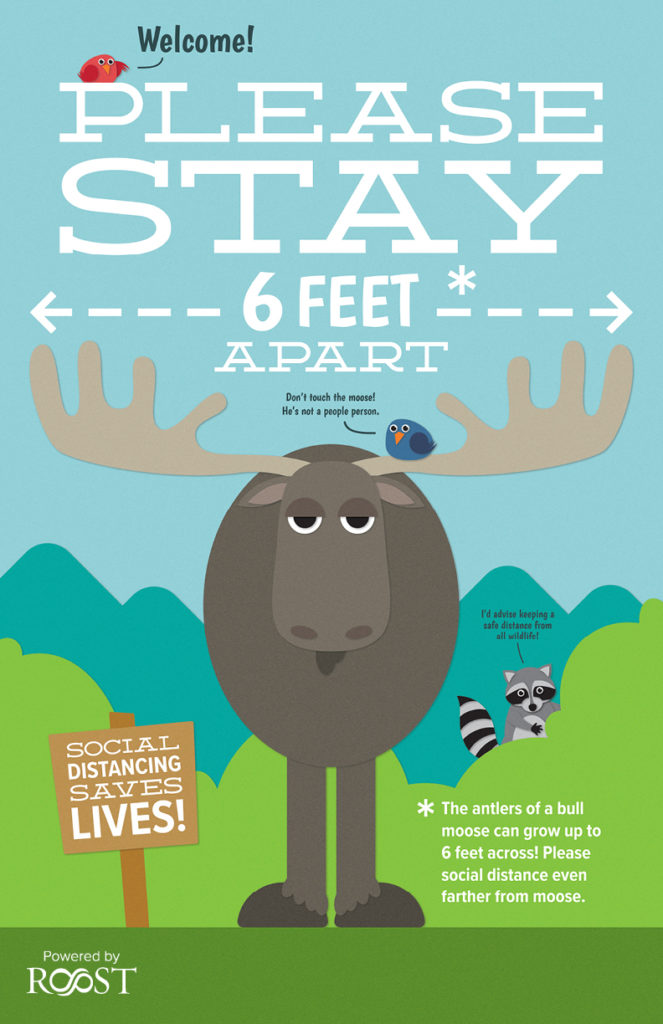 Illustrated poster of a moose saying the distance of the antlers is six feet across